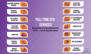 CFO Services | Full Time CFO Services | Elements of a Professional CFO, what he/she does