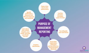 Purpose of Management Reporting | SattvaCFO
